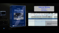 Internal Mixing: Module 7 - Automation