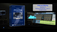 Internal Mixing: Module 9 - Bass & Vocals